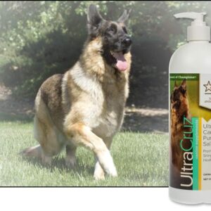 UltraCruz Canine Pure Salmon Oil Supplement for Dogs, 32 oz,sc-395127