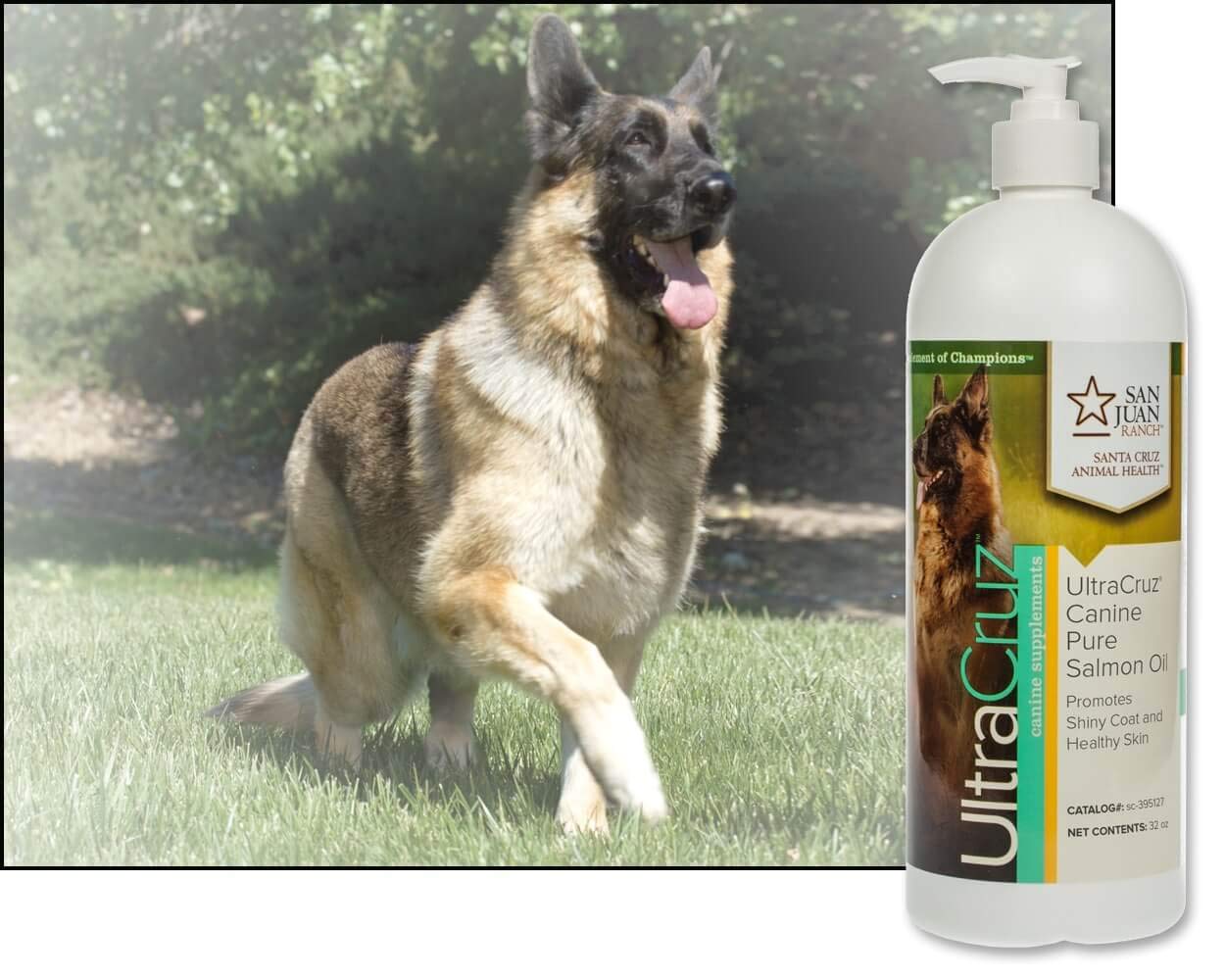 UltraCruz Canine Pure Salmon Oil Supplement for Dogs, 32 oz,sc-395127