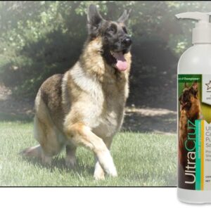 UltraCruz-sc-395197 Canine Pure Salmon Oil Supplement for Dogs, 16 oz