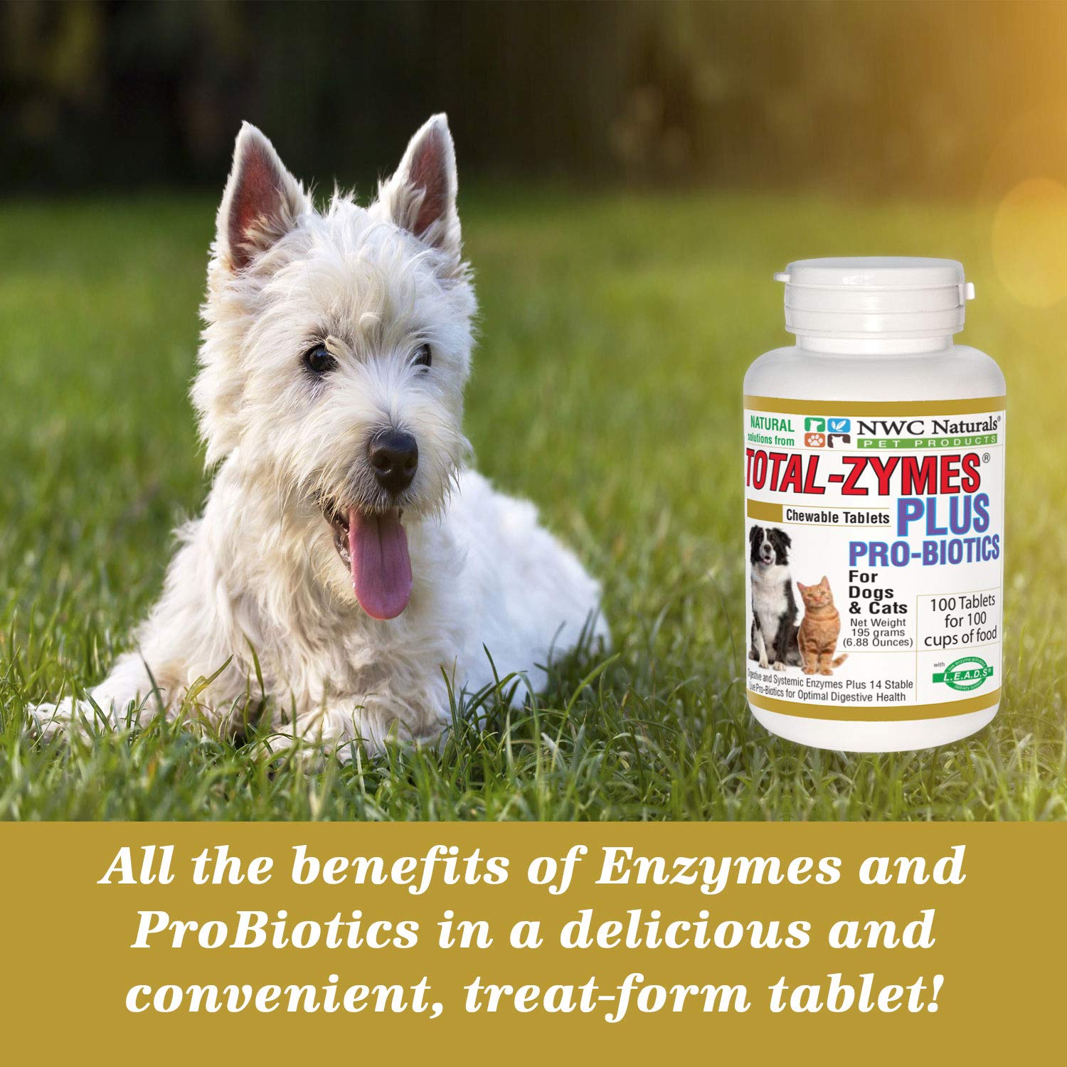 Total-Zymes PLUS Vegetarian Digestive Enzymes for Dogs & Cats, Supports a Healthy Digestive Tract & Immune System, Advanced Probiotics & Prebiotics- 100 Chewable Tablets by NWC Naturals