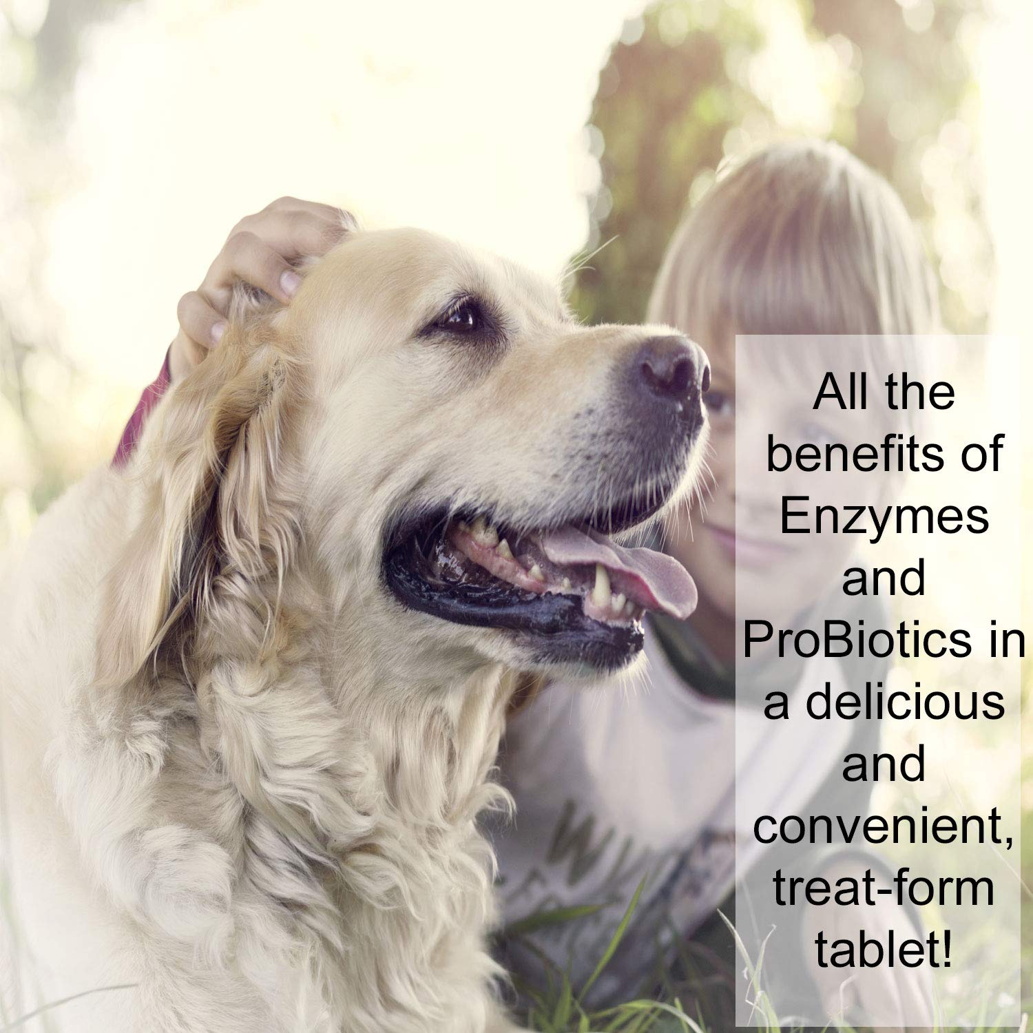 Total-Zymes PLUS Vegetarian Digestive Enzymes for Dogs & Cats, Supports a Healthy Digestive Tract & Immune System, Advanced Probiotics & Prebiotics- 100 Chewable Tablets by NWC Naturals