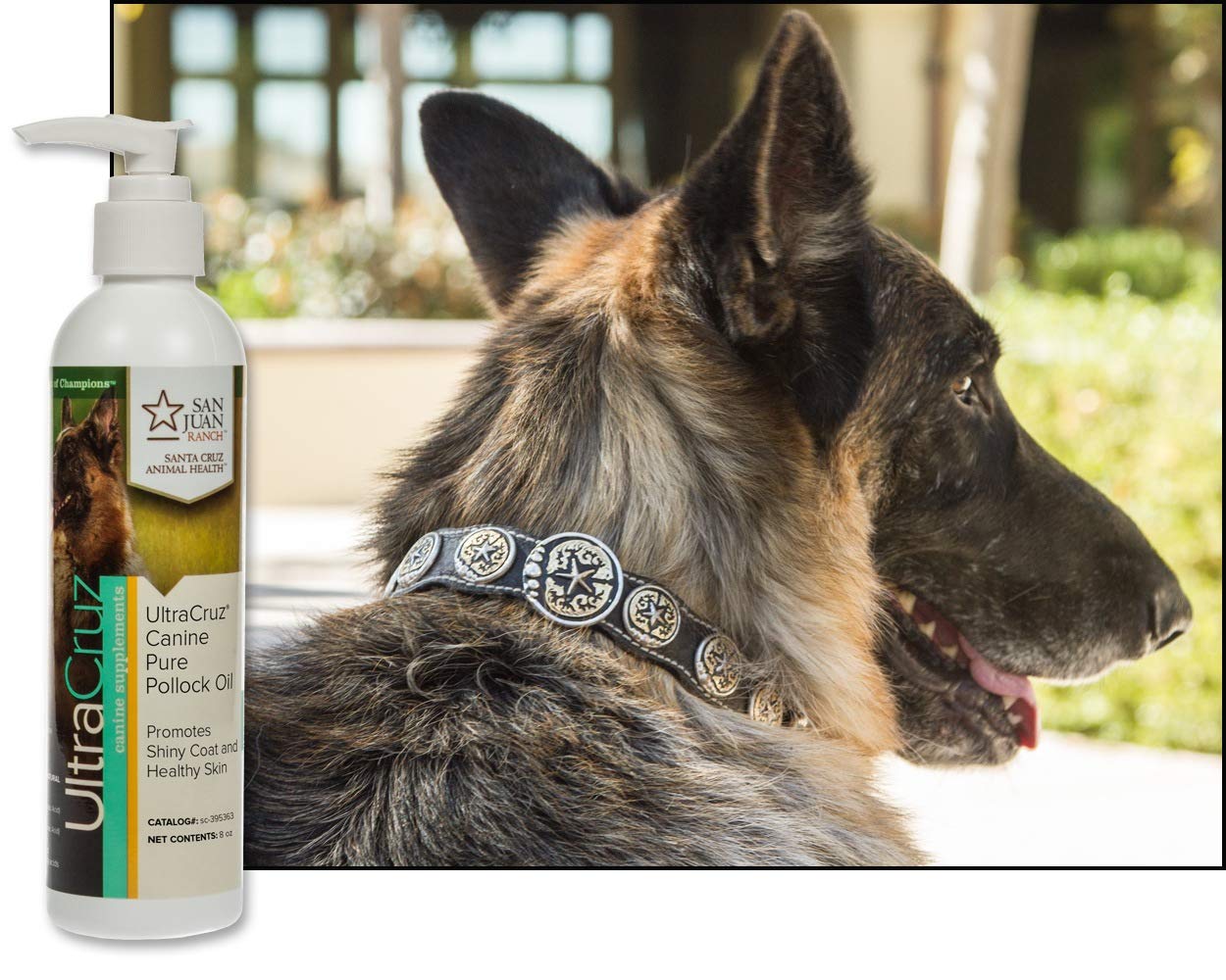 UltraCruz - sc-395363 Canine Pure Pollock Oil Supplement for Dogs, 8 oz