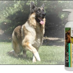 UltraCruz - sc-395363 Canine Pure Pollock Oil Supplement for Dogs, 8 oz