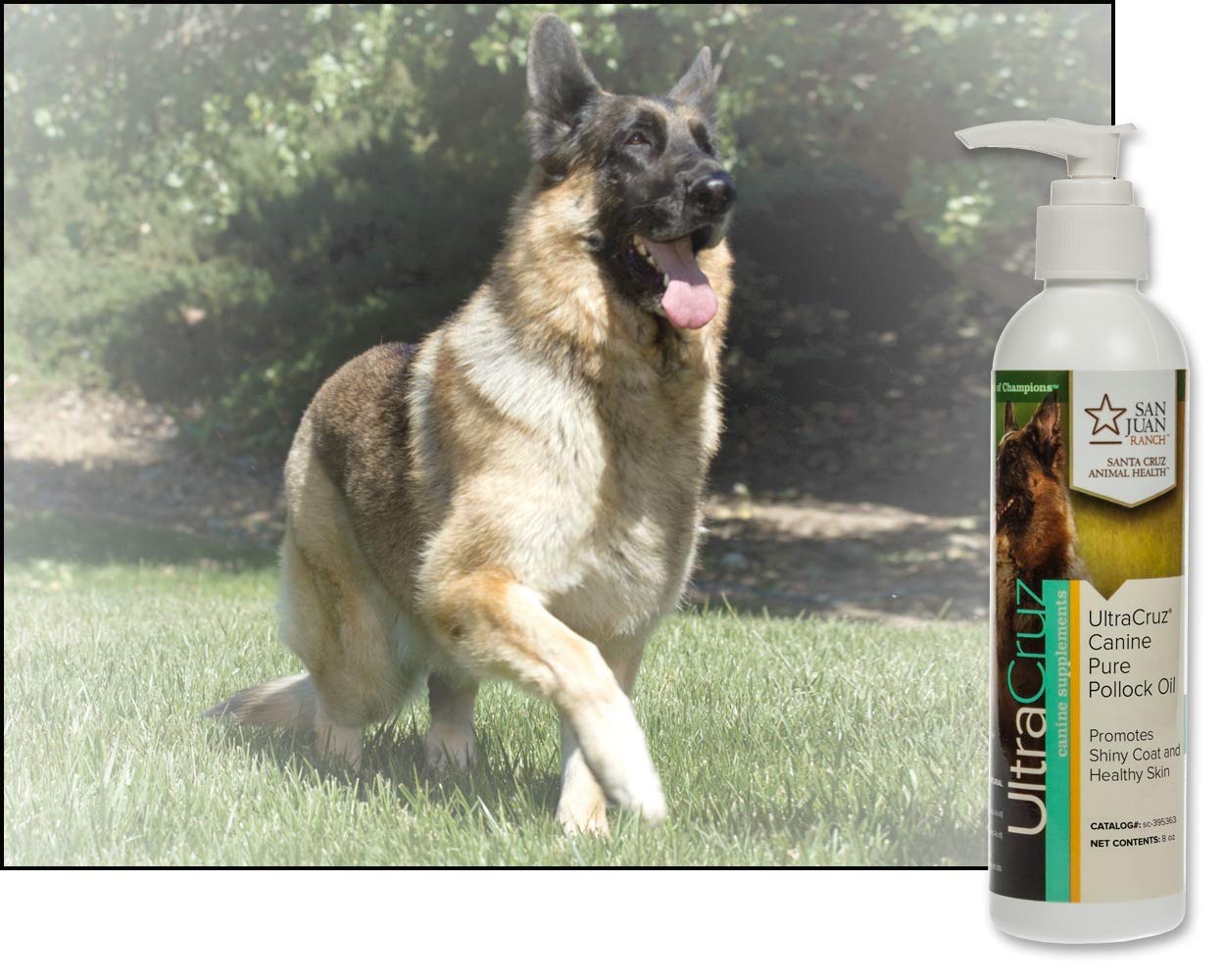 UltraCruz - sc-395363 Canine Pure Pollock Oil Supplement for Dogs, 8 oz