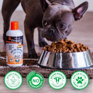 DOGGESS Dressing Best Hip and Joint Supplement for Dogs, Glucosamine & Chondroitin/Joint Health/Salmon Oil for Dogs Skin and Coat Health, Delicious Beef Gravy Flavor - 16 Oz Pack of 1