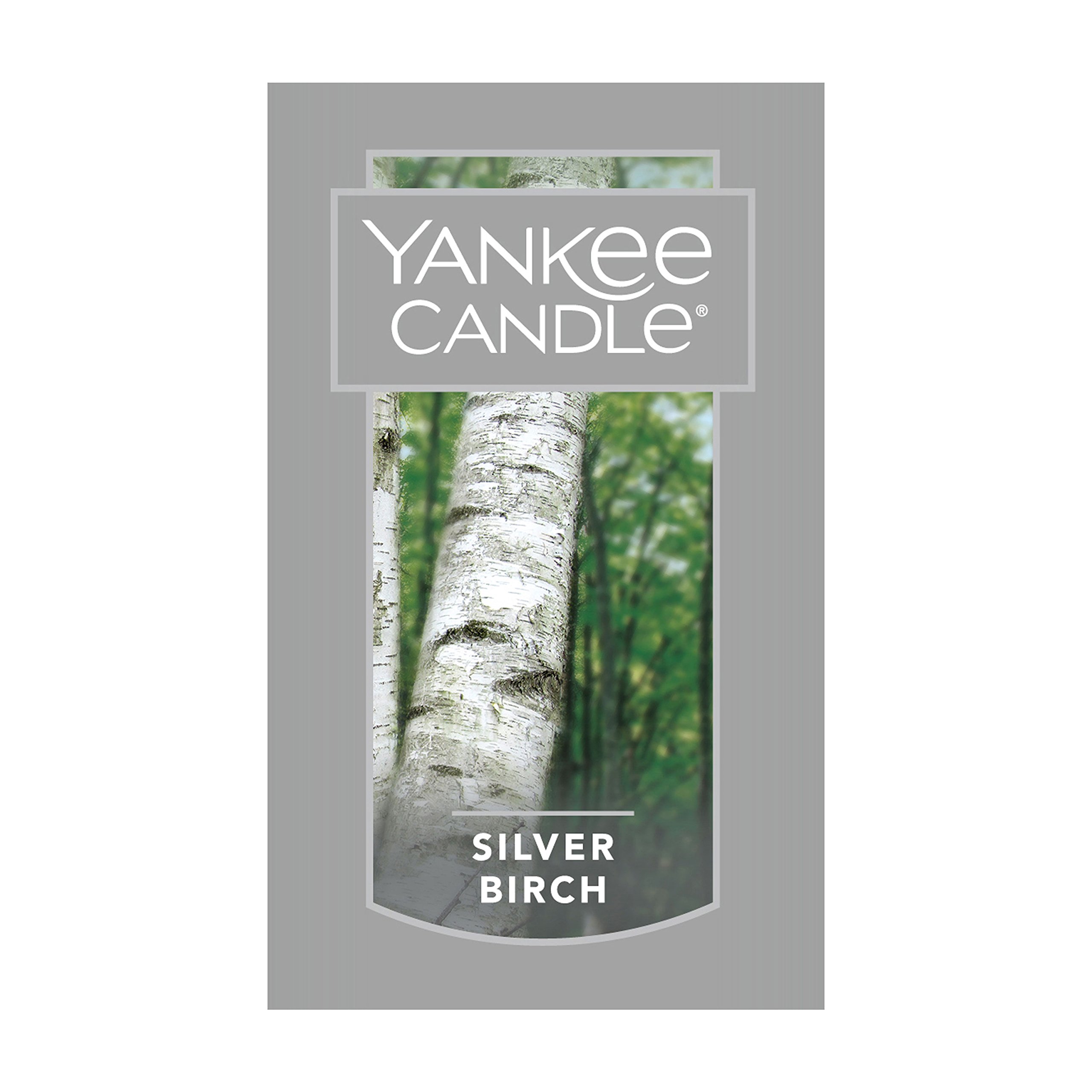 Yankee Candle Silver Birch Scented, Classic 22oz Large Jar Single Wick Aromatherapy Candle, Over 110 Hours of Burn Time, Apothecary Jar Fall Candle, Autumn Candle Scented for Home