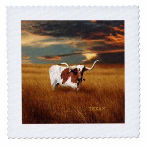 3drose qs_62229_9 a texas longhorn quilt square, 22 by 22-inch