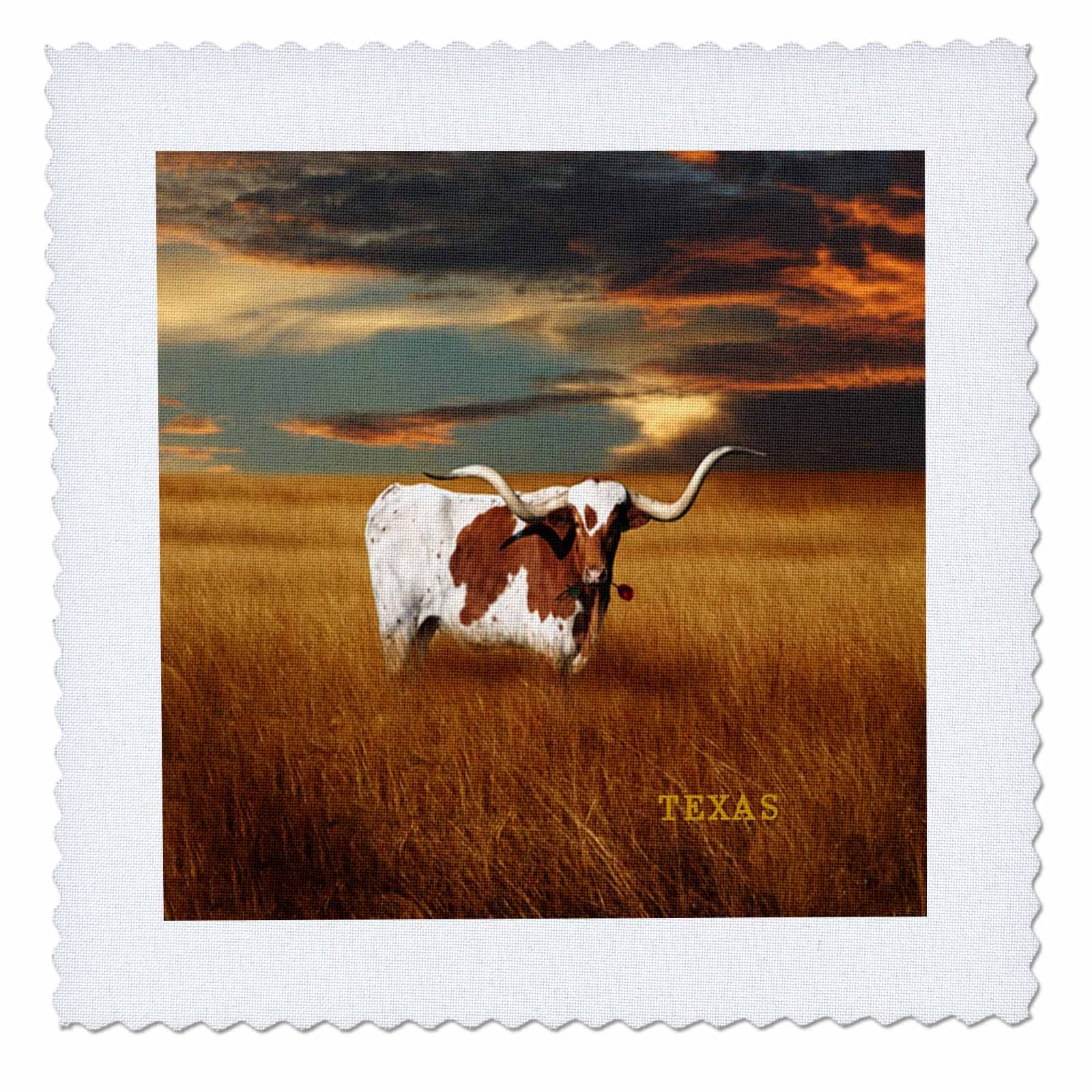 3dRose qs_62229_9 A Texas Longhorn Quilt Square, 22 by 22-Inch