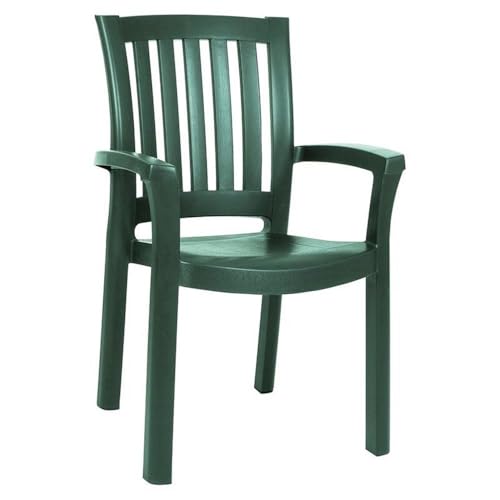 Compamia Sunshine Resin Patio Dining Arm Chair in Green (Set of 2)