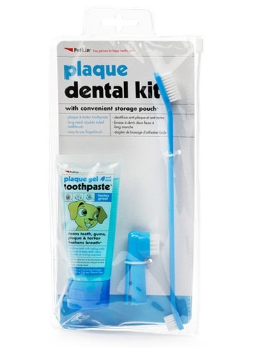 Petkin Plaque Dental Kit with convenient storage pouch