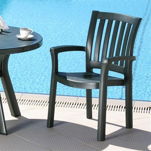 Compamia Sunshine Resin Patio Dining Arm Chair in Green (Set of 2)