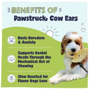 Pawstruck Natural Jumbo Cow Ears for Dogs - Healthy Rawhide Free, Highly Digestible Low Calorie & Long Lasting Dental Chew Treat for Small, Medium, Large Chewers - Pack of 10 - Packaging May Vary