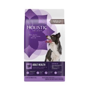 holistic select natural grain free dry dog food, deboned turkey & lentils recipe, 4-pound bag