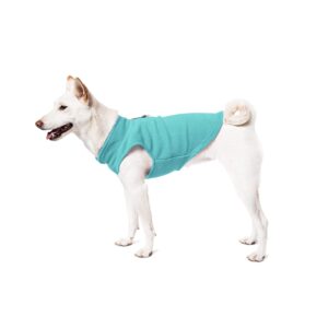 Gooby Fleece Vest Dog Sweater - Pink, Small - Warm Pullover Fleece Dog Jacket with O-Ring Leash - Winter Small Dog Sweater Coat - Cold Weather Dog Clothes for Small Dogs Boy or Girl