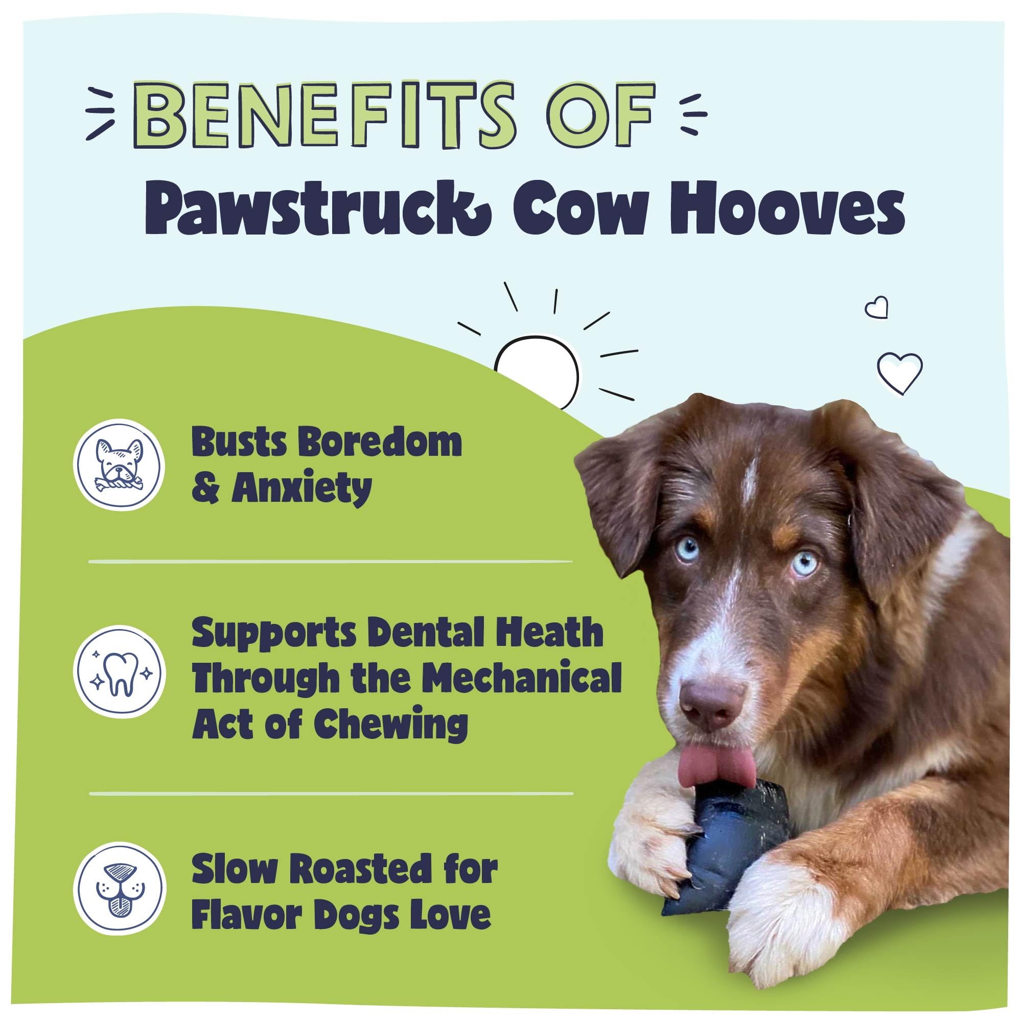 Pawstruck Natural Cow Hooves for Dogs - Made in The USA Long Lasting Beef Hoof Dental Treat Chews - No Artificial Preservatives - 25 Count - Packaging May Vary