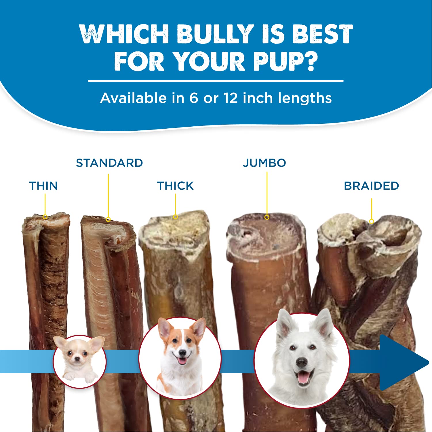 Best Bully Sticks 6 Inch Jumbo Bully Sticks for Large Dogs - 100% Natural, Grass-Fed Beef - Single Ingredient Grain and Rawhide Free Bully Stick Dog Chews | 25 Pack