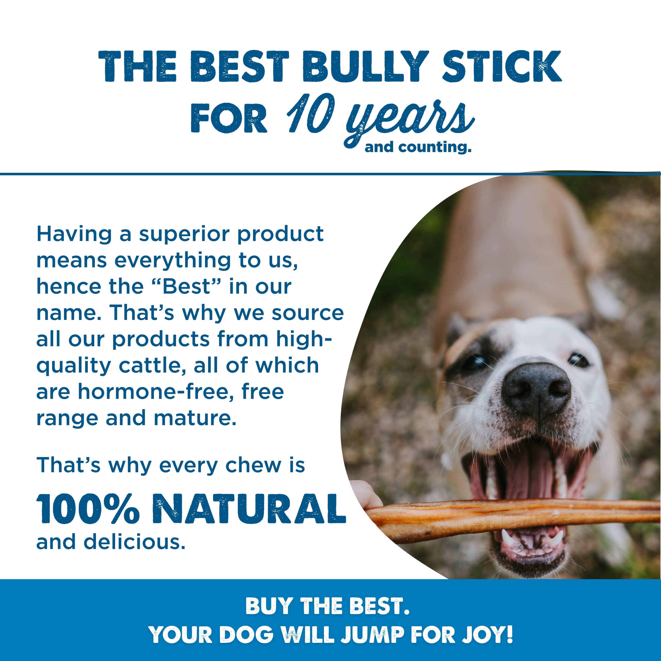 Best Bully Sticks 6 Inch Jumbo Bully Sticks for Large Dogs - 100% Natural, Grass-Fed Beef - Single Ingredient Grain and Rawhide Free Bully Stick Dog Chews | 25 Pack