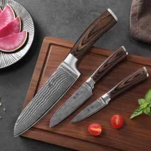 Wakoli Damascus Kitchen Knife Set, 3 Pieces Professional Chef Knife Set made from 67 Layers Damascus Steel with VG10 Core, Knives Set for Kitchen with Pakkawood Handles in Wooden Gift Box (EDIB 3-pcs)