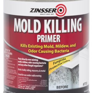 Rust-Oleum Zinsser 276087 Mold Killing Primer, Quart, White