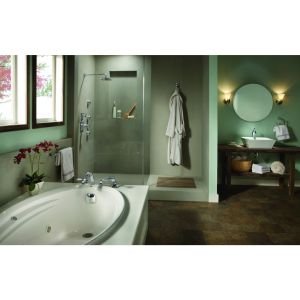 Delta Faucet T4751-PN Dryden Roman Tub with Hand Shower Trim, Polished Nickel, 7.81 x 13.94 x 9.06 inches