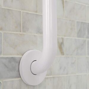 Glacier Bay 24 in X 1 1/2 in Concealed grab Bar...White