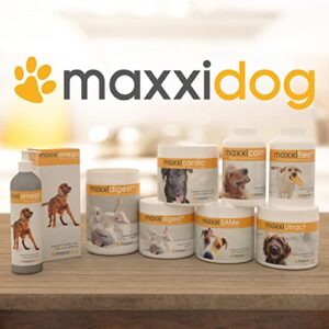 maxxipaws maxxicalm Natural Calming Supplement for Dogs - 120 Non-Drowsy Tablets