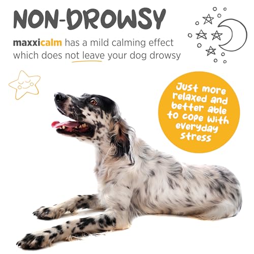 maxxipaws maxxicalm Natural Calming Supplement for Dogs - 120 Non-Drowsy Tablets