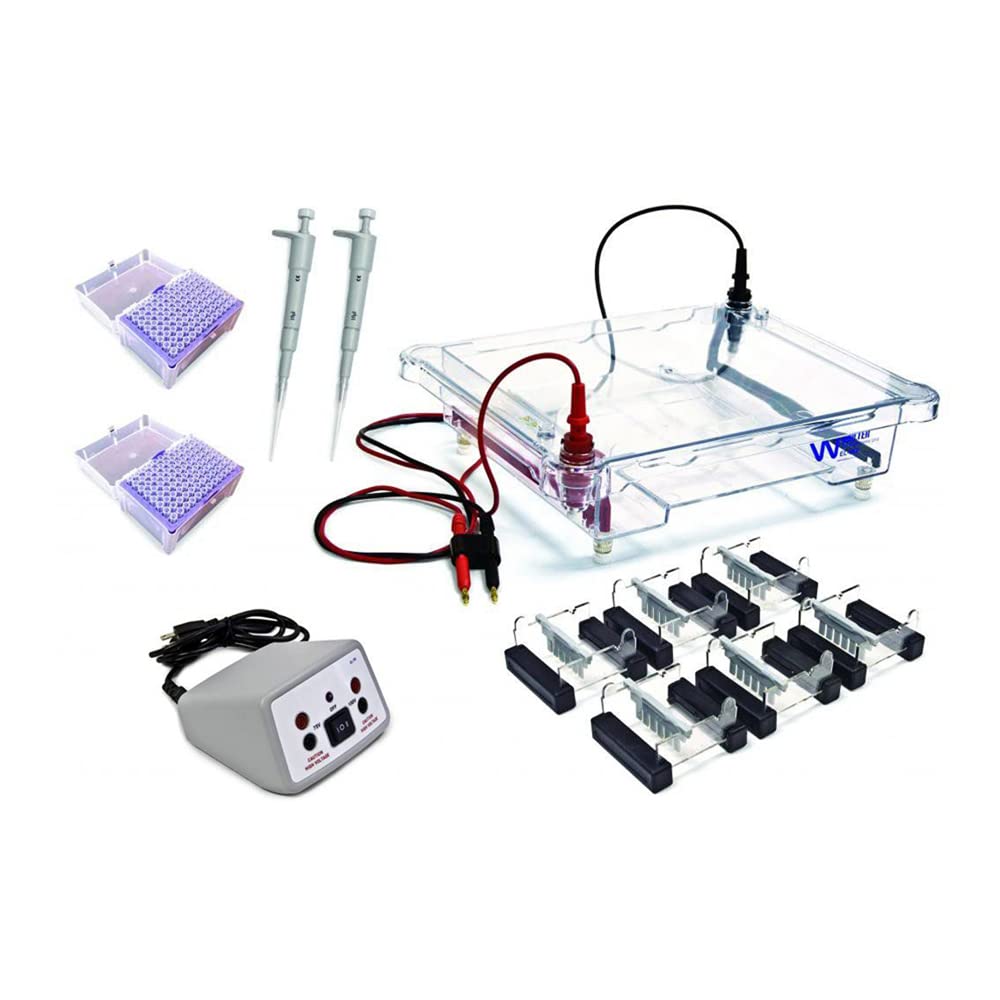 Walter Products EL-600-24 Electrophoresis Classroom Kit