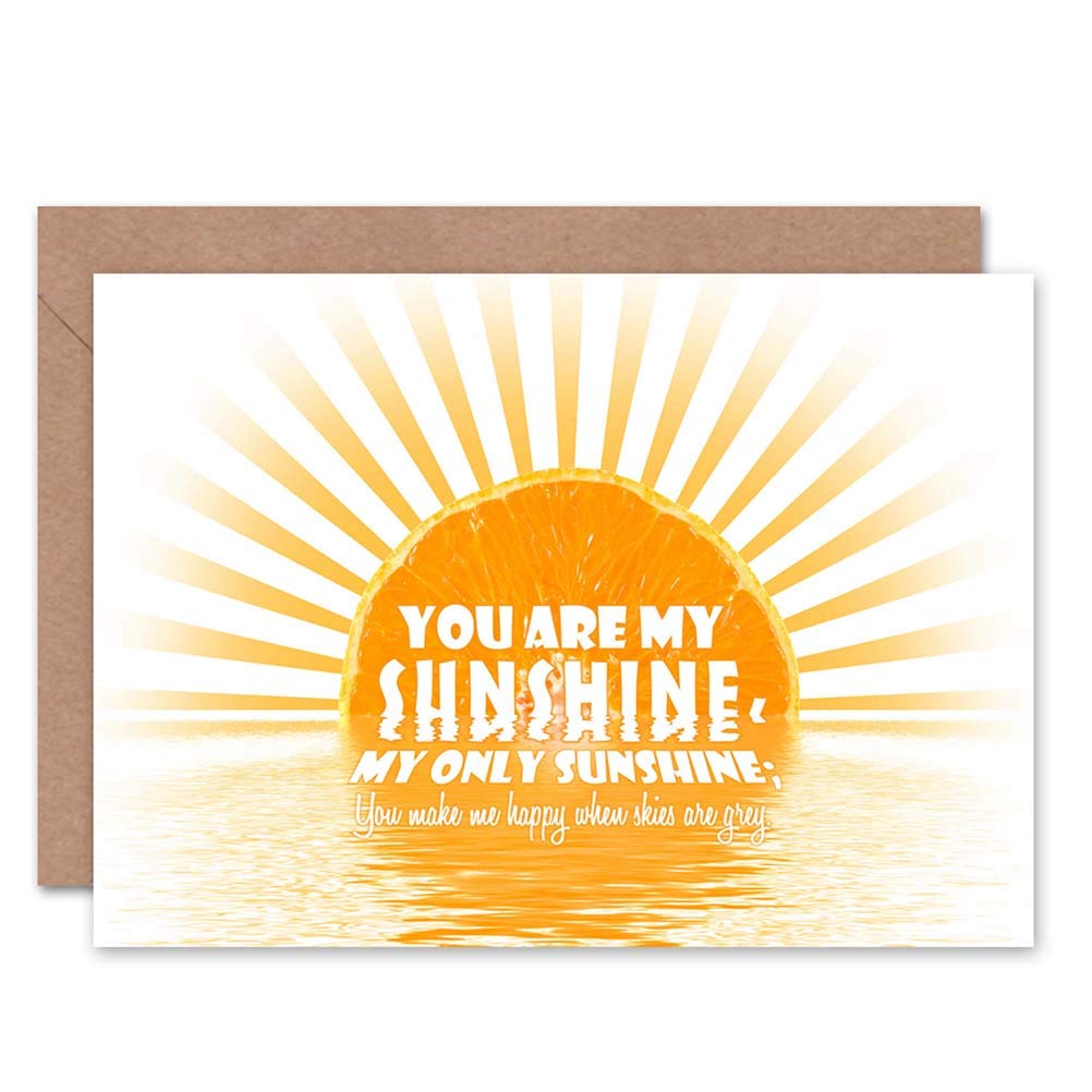 Wee Blue Coo YOU ARE MY SUNSHINE ORANGE SUN LOVE VALENTINES DAY BLANK BIRTHDAY CARD