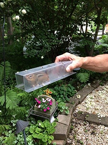 Easy Chipmunk Trap (2 Pack)