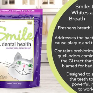 In Clover Smile Daily Dental Health Soft Chews for Cats, Support Healthy Teeth and Fresh Tongue with Catnip and Green Tea, Prebiotics, and Chlorophyll for Fresh Breath