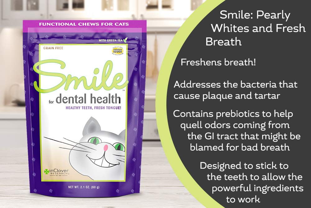 In Clover Smile Daily Dental Health Soft Chews for Cats, Support Healthy Teeth and Fresh Tongue with Catnip and Green Tea, Prebiotics, and Chlorophyll for Fresh Breath