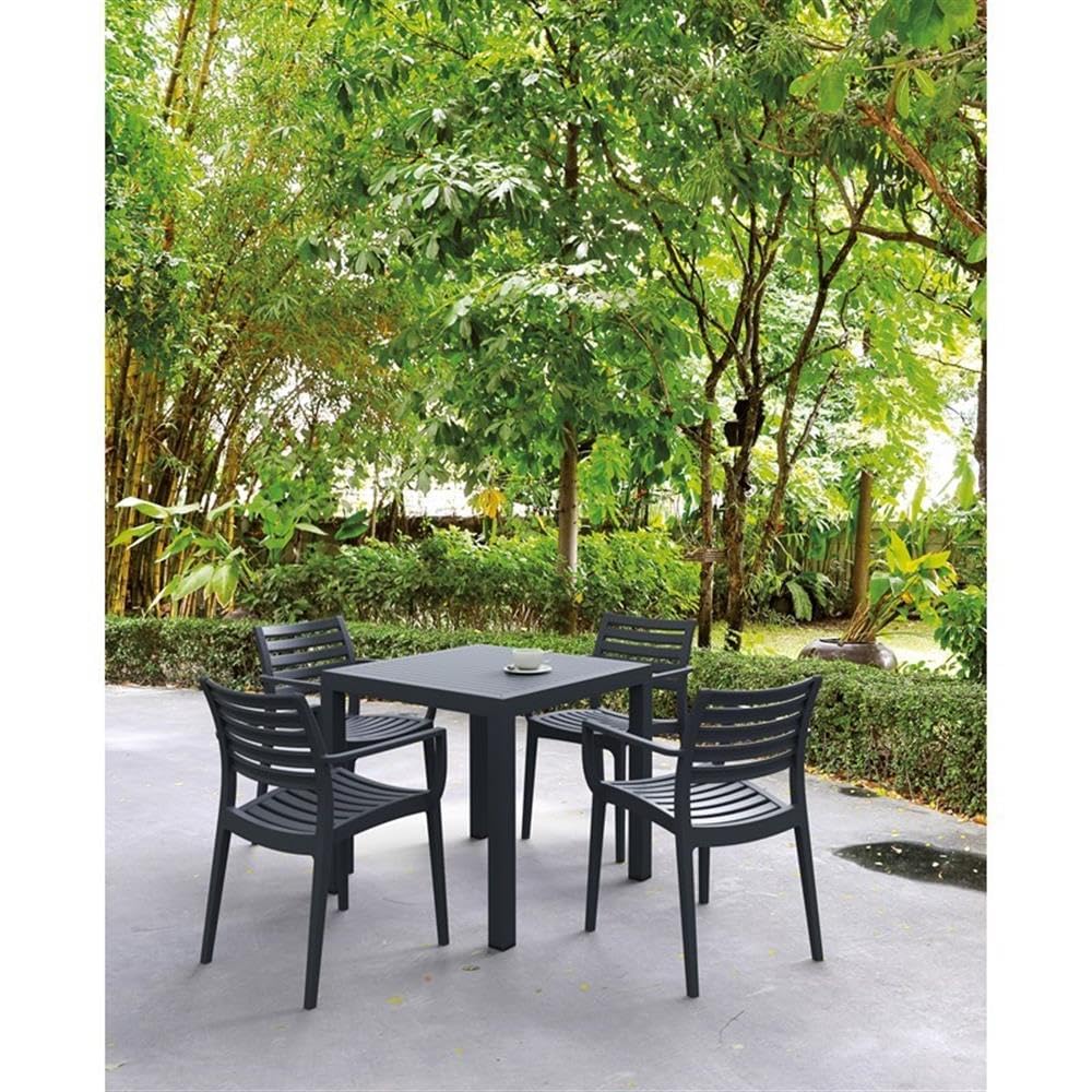 Compamia Artemis Outdoor Dining Arm Chair (Set of 2) - Dark Gray