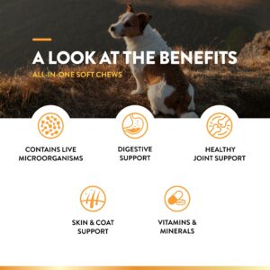 NaturVet All-in-One Dog Supplement - for Joint Support, Digestion, Skin, Coat Care – Dog Multivitamins with Minerals, Omega-3, 6, 9 – Wheat-Free Vitamins for Dogs – 60 Soft Chews