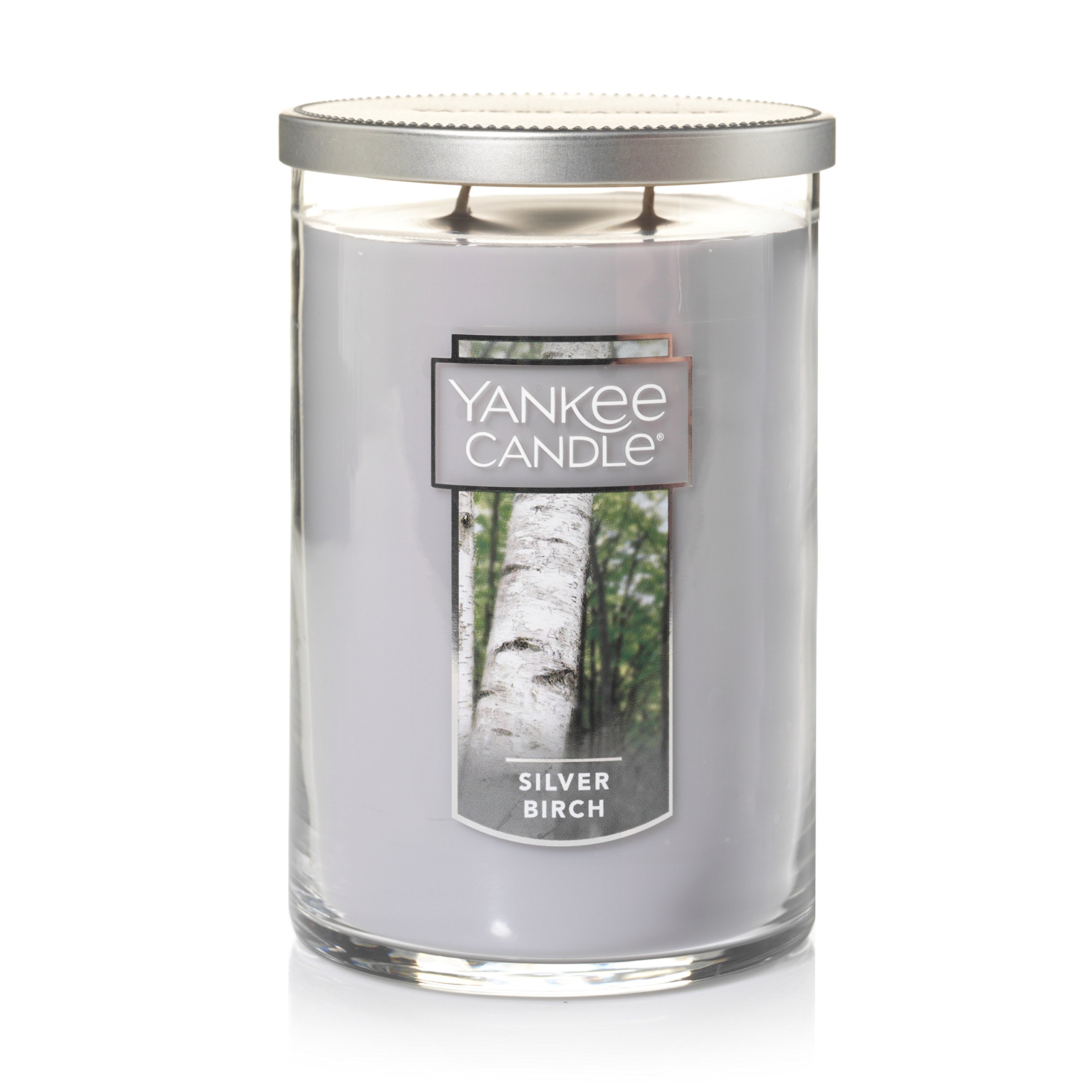 Yankee Candle Silver Birch Scented, Classic 22oz Large Tumbler 2-Wick Candle, Over 75 Hours of Burn Time