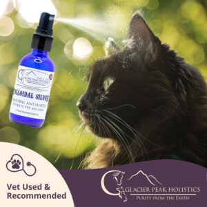 Glacier Peak Holistics Colloidal Silver - Natural Antibiotic Spray for Dogs & Cats, Internal & External for Anti-Itch and Infection in Pets - 2oz