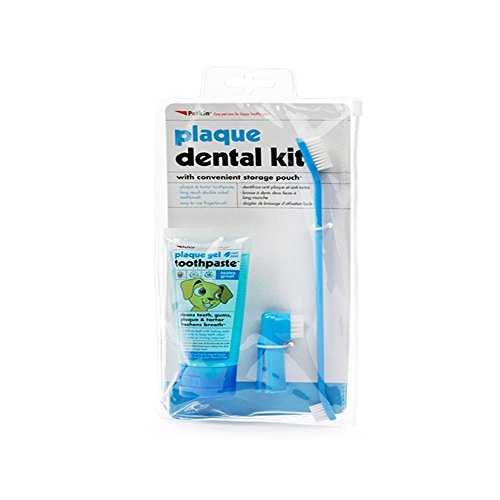 Petkin Plaque Dental Kit - Mint