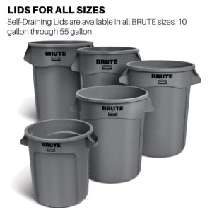 Rubbermaid Commercial Products BRUTE Heavy-Duty Round Trash/Garbage Lid, 20-Gallon, Gray, Outdoor Waste Container for Home/Garage/Mall/Office/Stadium/Bathroom, Pack of 6