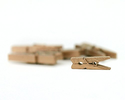 LWR CRAFTS Wooden Mini Clothespins 500 Per Pack 1" 2.5cm (Golden)