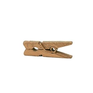 lwr crafts wooden mini clothespins 500 per pack 1" 2.5cm (golden)