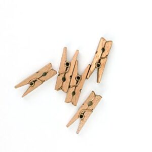 LWR CRAFTS Wooden Mini Clothespins 500 Per Pack 1" 2.5cm (Golden)