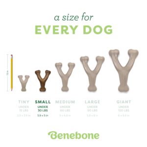 Benebone Wishbone Durable Dog Chew Toy for Aggressive Chewers, Real Peanut, Made in USA, Small, for Any breed