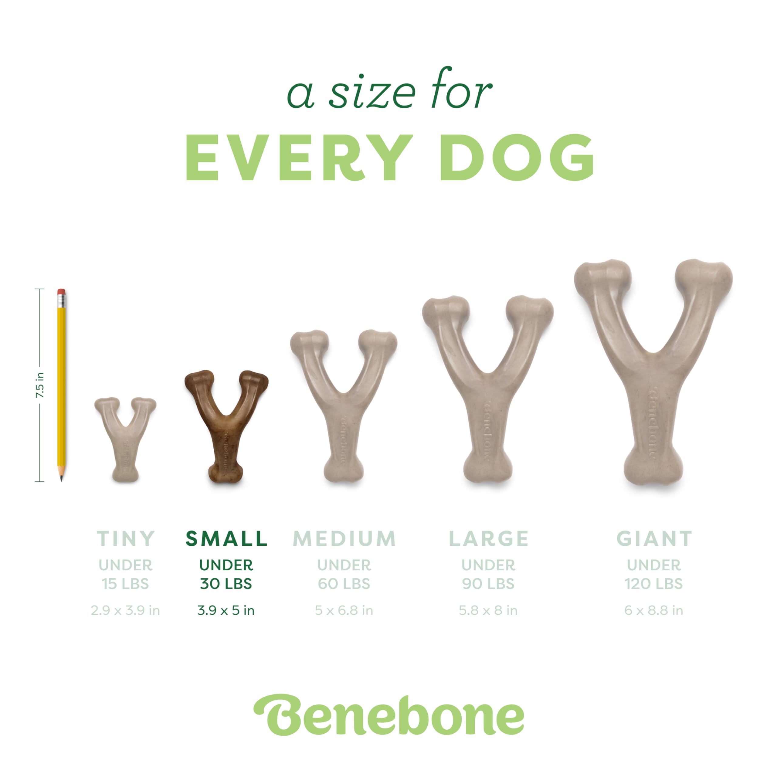 Benebone Wishbone Durable Dog Chew Toy for Aggressive Chewers, Real Peanut, Made in USA, Small, for Any breed