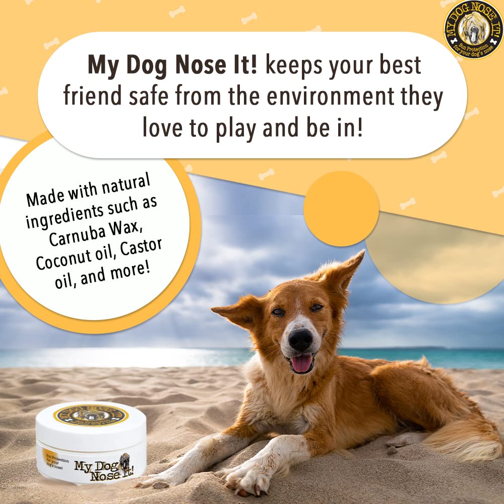 My Dog Nose It Moisturizing Sun Protection Balm for Dogs Noses - Protect Your Dog from Harmful UVA/UVB Rays .5 Ounce