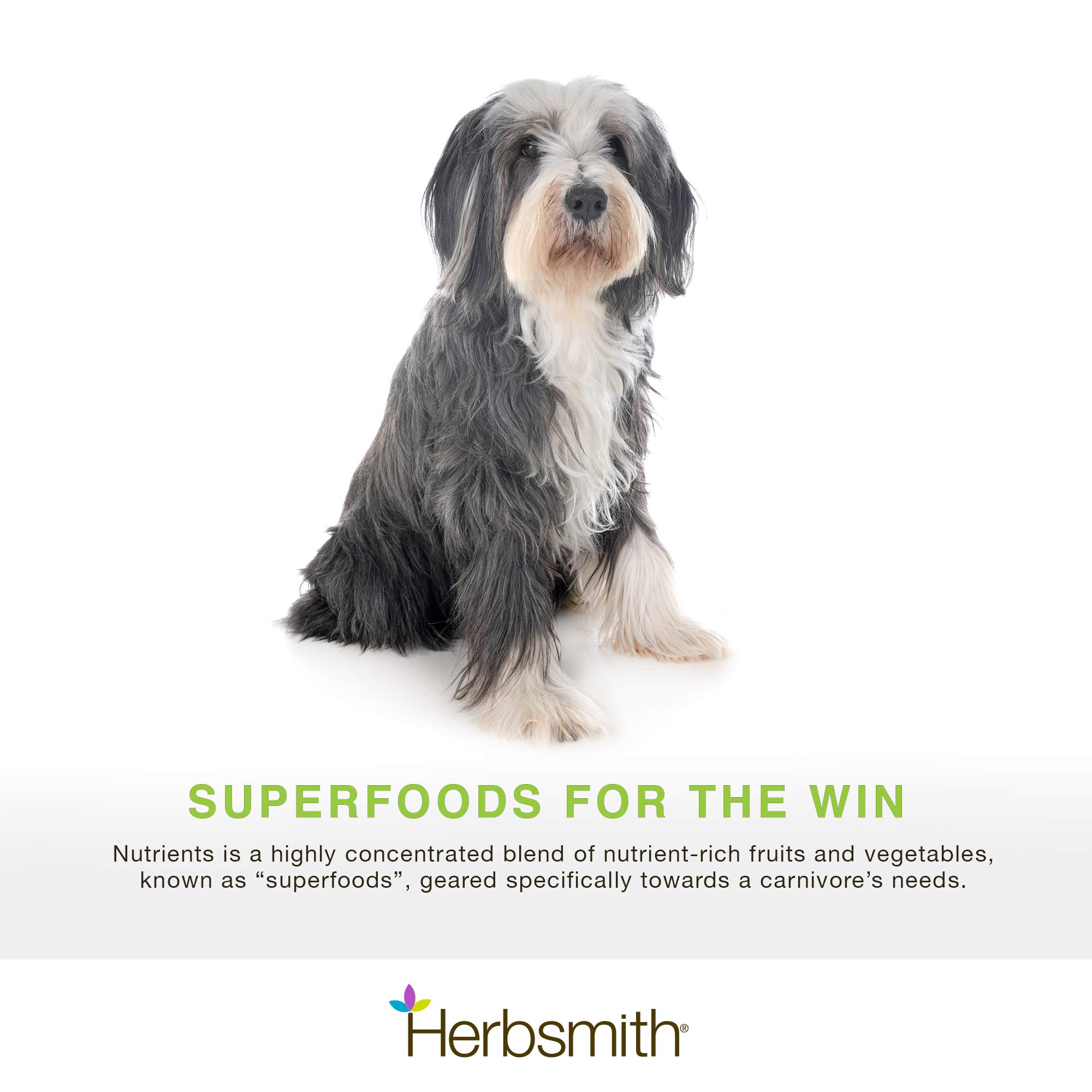 Herbsmith Nutrients Superfood Dog Multivitamin Featuring Vitamins & Minerals from Whole Foods Boost Kibble or DIY Raw with Antioxidants for Puppies to Seniors - 6.5 oz