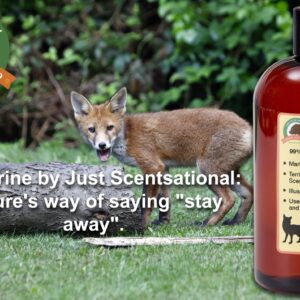 Just Scentsational FU-16 Red Fox Urine for Gardens, Hunters, and Trappers, 16 oz