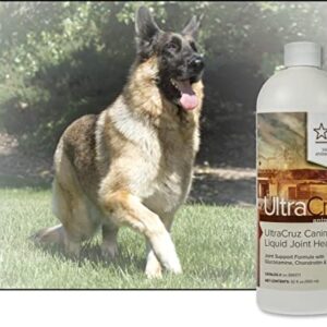 UltraCruz Canine Liquid Joint Health Supplement for Dogs, 32 oz