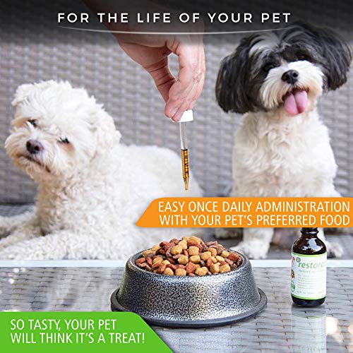 RestoraPet 1-Pack Dog & Cat Unflavored Liquid Multivitamin | Dog Arthritis Pain Relief | Hip&Joint Vitamins for Dogs | Anti Inflammatory Supplement for Dogs & Cats | Organic & Non-GMO, Vet Approved