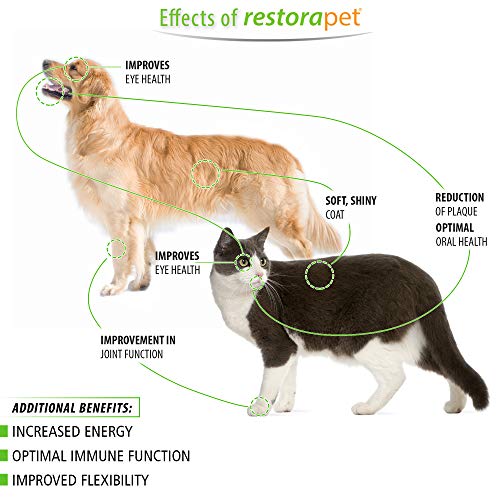 RestoraPet 1-Pack Dog & Cat Unflavored Liquid Multivitamin | Dog Arthritis Pain Relief | Hip&Joint Vitamins for Dogs | Anti Inflammatory Supplement for Dogs & Cats | Organic & Non-GMO, Vet Approved