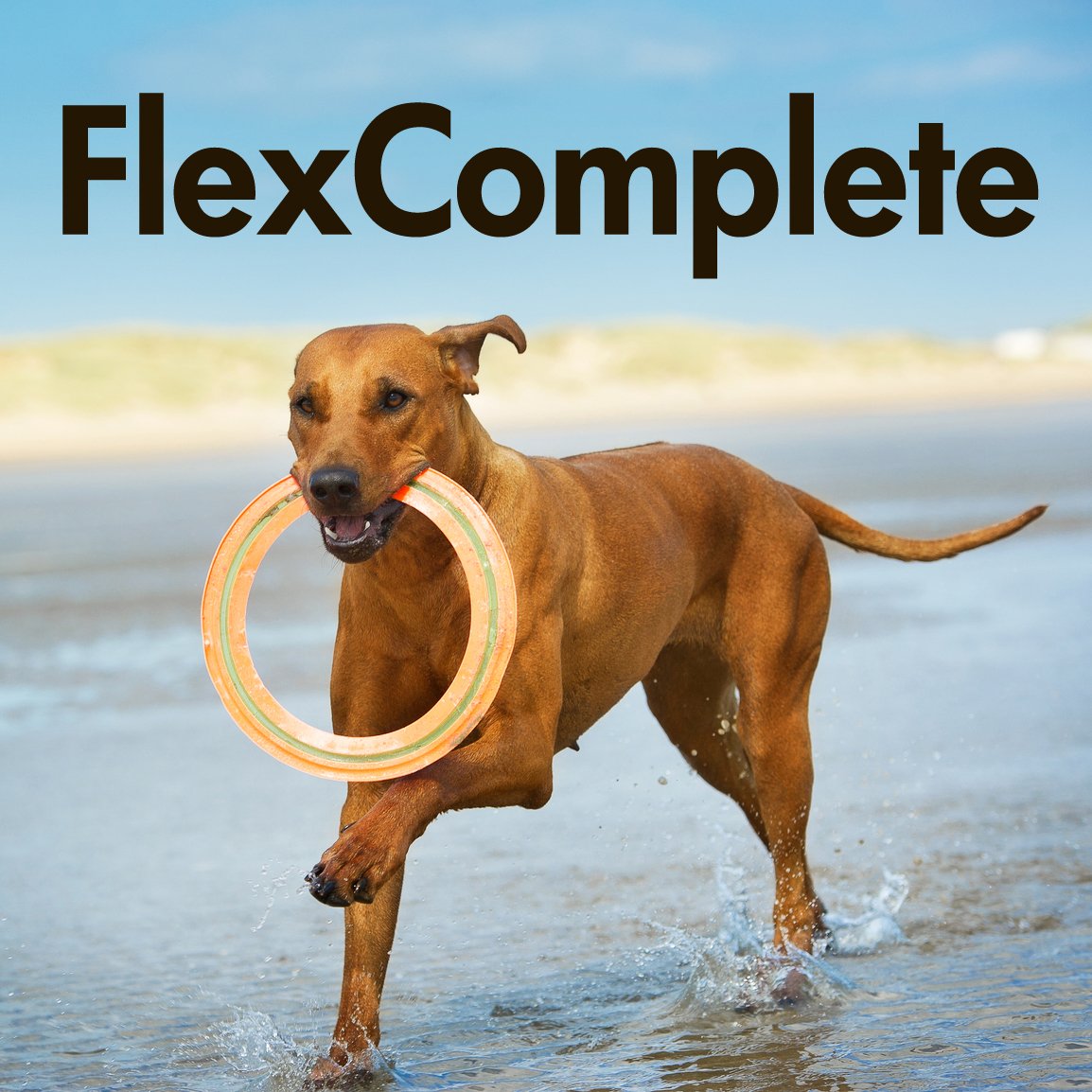 FlexComplete Liquid Vegetarian Glucosamine for Dogs - Joint Health and Mobility Support with Vegetarian Formula to Keep Pet Active and Healthy - for Small and Larde Dogs- Formulated in The USA